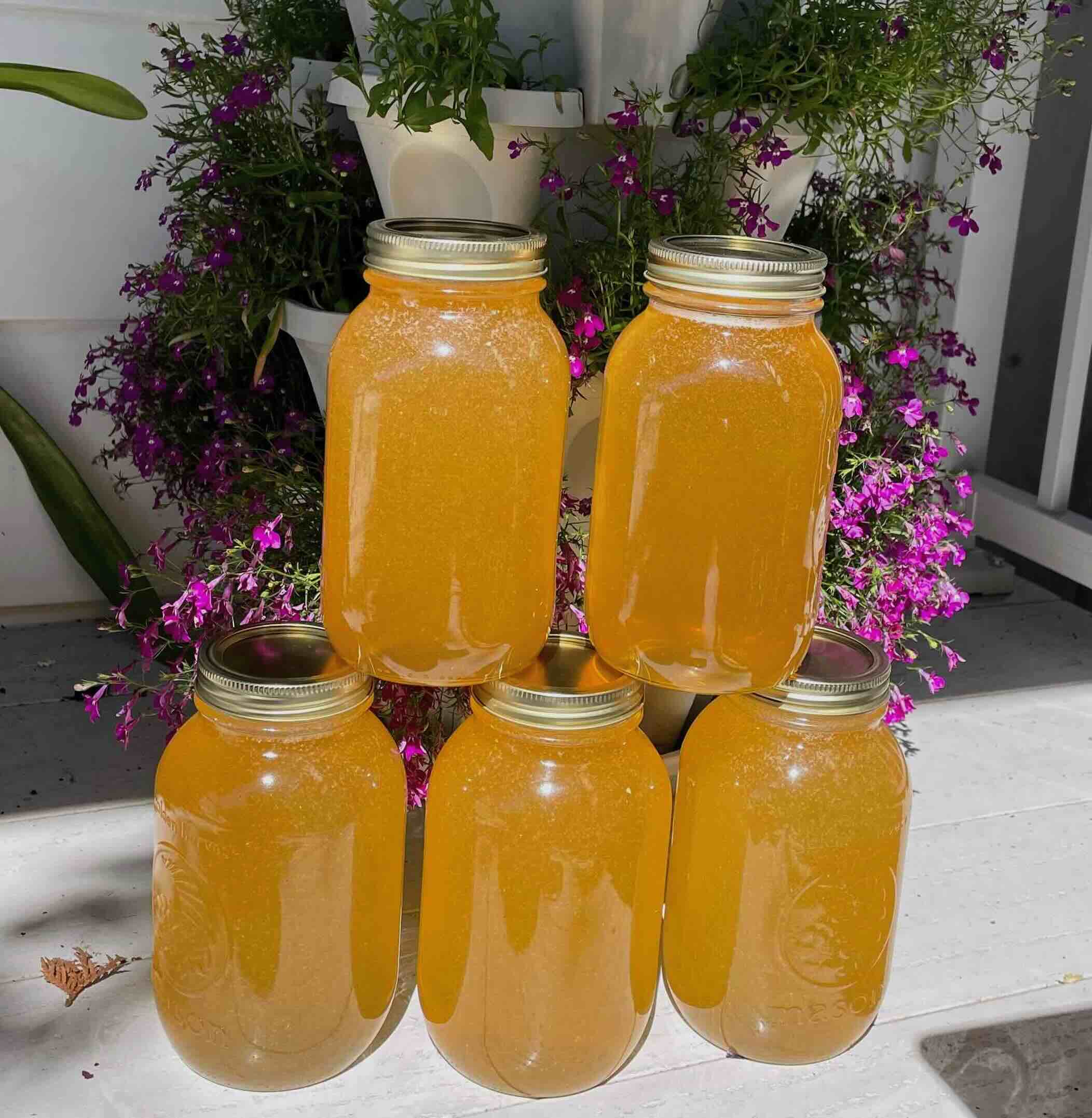 Pure Raw Edmonton Honey - HoneycombsAndMore