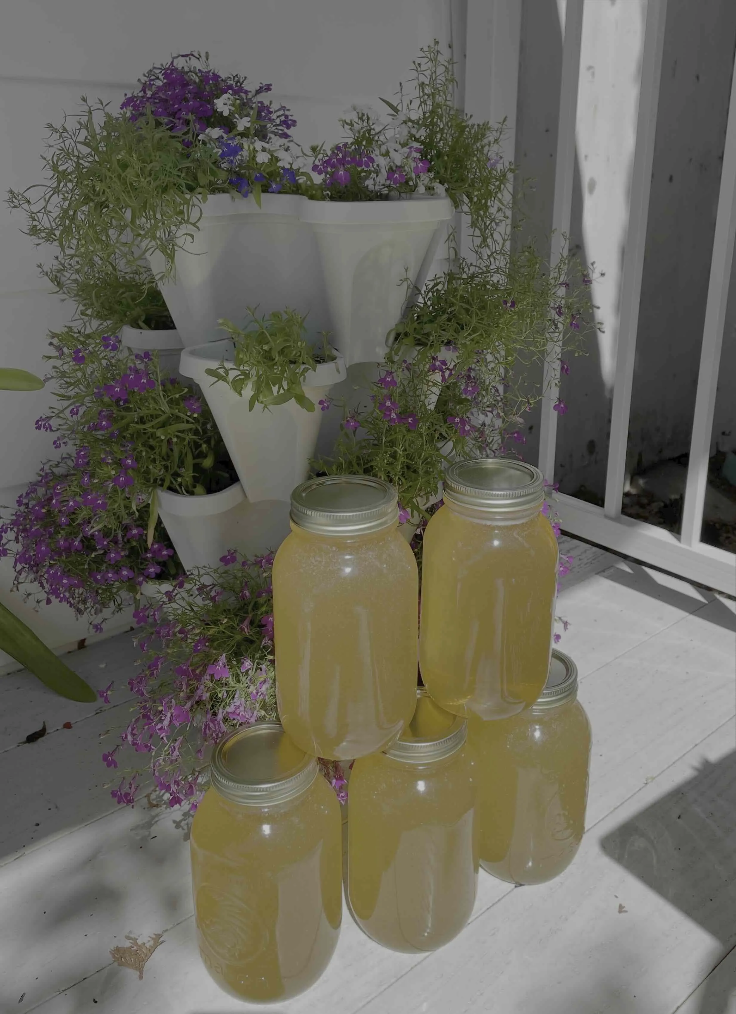 Pure Edmonton raw honey jar from HoneycombsAndMore